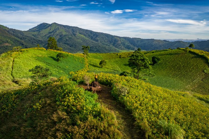 Mê mẩn cung đường trekking Chư Đăng Ya và mùa dã quỳ rực trời Gia Lai