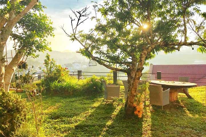 Homestay Nắng Đà Lạt – Chốn nghỉ bình yên, đong đầy ánh nắng