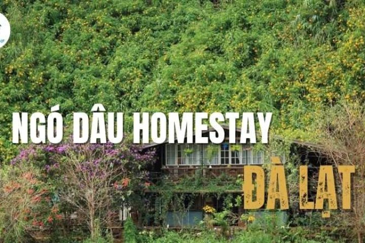 Review Ngó Dâu Đà Lạt: Nơi tìm về bình yên, sống chậm giữa Đà Lạt