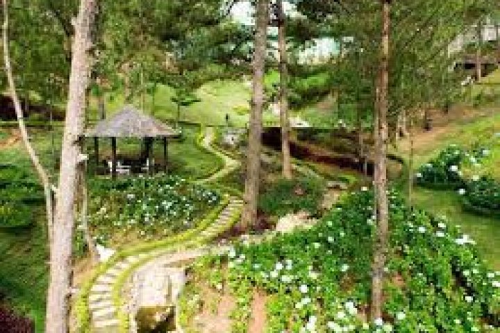 Đồi Mộng Mơ Đà Lạt: Điểm hẹn lãng mạn, thơ mộng cho đôi lứa