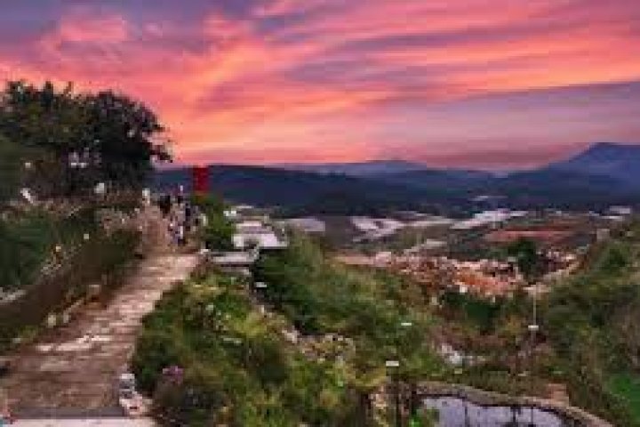 Phoenix Garden Đà Lạt Hill: View đẹp mê ly, mọi khung hình đều hoàn mỹ