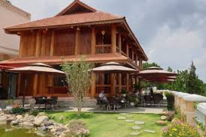 Tiên Dung Cafe Đà Lạt: View đồi thông lãng mạn, khung cảnh mơ màng.