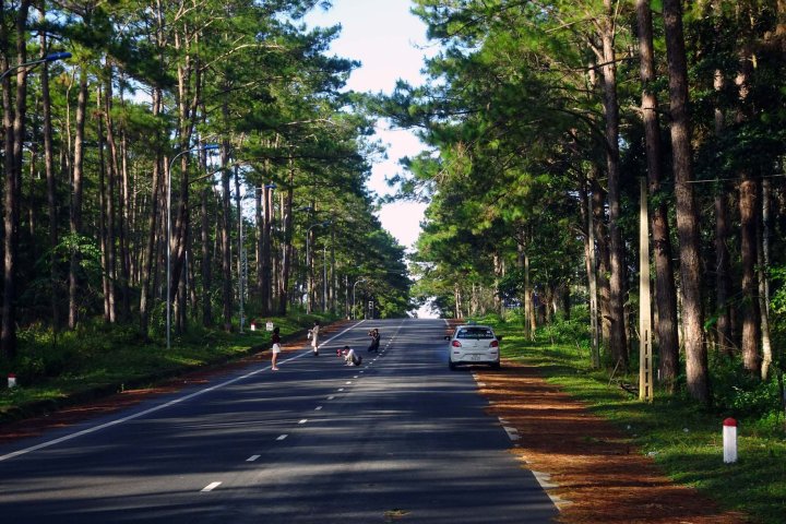 Khám phá Rừng thông Măng Đen - Một Đà Lạt thu nhỏ