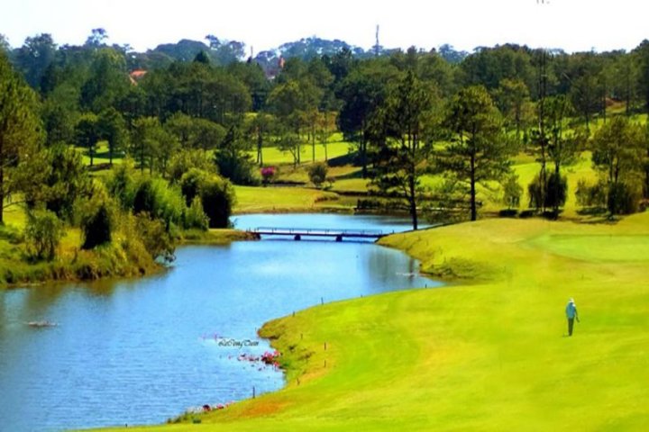 Review Sân Golf Đồi Cù Đà Lạt: Biểu tượng golf đầu tiên Việt Nam