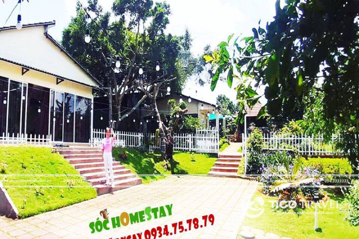 Sóc Homestay: Thiên đường nhỏ xinh giữa lòng đồi thông mơ màng