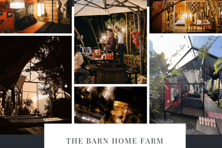 The Barn Home Farm Đà Lạt: Nét Đẹp Gỗ Bắc Âu Giữa Lòng Cao Nguyên