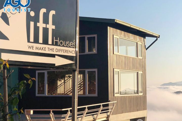 The Diff House Đà Lạt: Cafe săn mây, cảnh quan tựa tiên cảnh