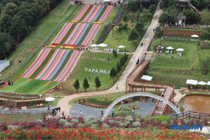 Khám phá Dapa Hill Đà Lạt: Thiên đường check-in view rừng thông!