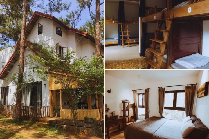 Toki Homestay Măng Đen: Nơi Bình Yên Giữa Đại Ngàn Xanh Thẳm