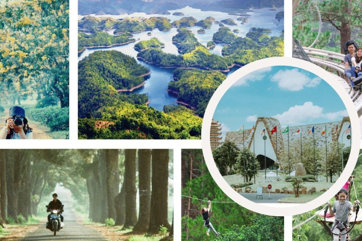 Top 7 tour du lịch tết Măng Đen - Kon Tum - Gia Lai xuân 2025