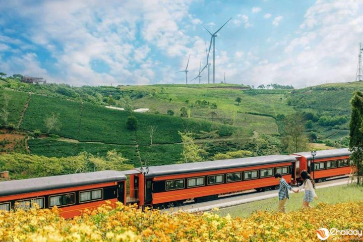 Euro Garden Dalat: Vườn Châu Âu đẹp mê hồn giữa Đà Lạt