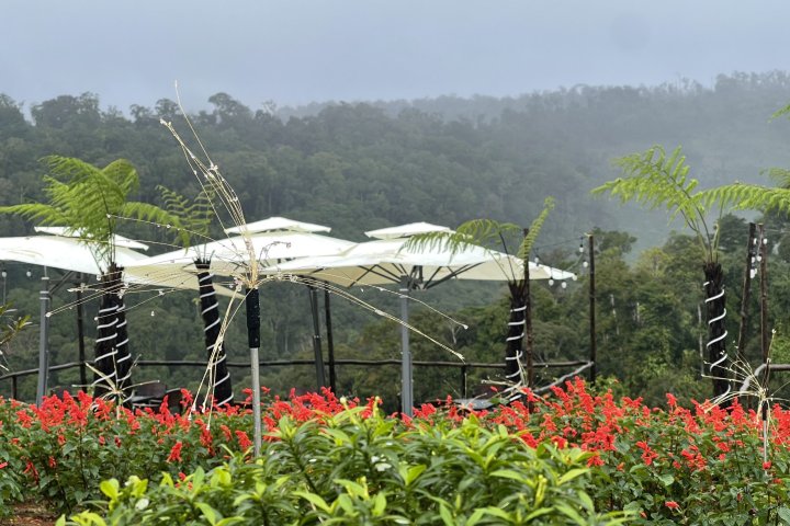 Việt Úc Flower Garden Măng Đen: Thiên Đường Hoa Giữa Ngàn