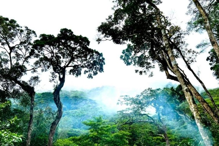 Vườn quốc gia Chư Yang Sin – Hành trình trekking và khám phá thiên nhiên hoang dã