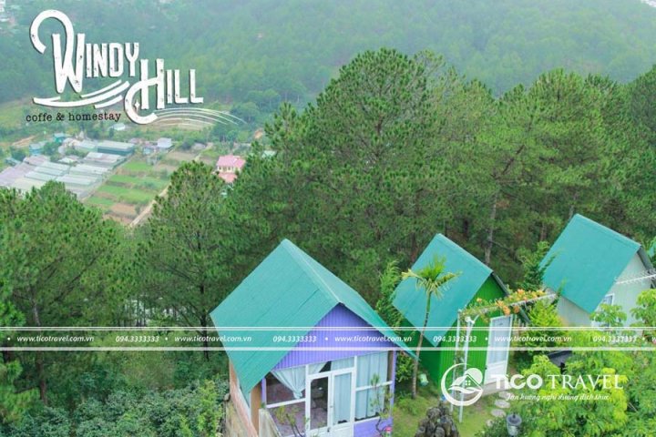 Windy Hill Homestay: Trải nghiệm cafe, view đồi thông siêu chill