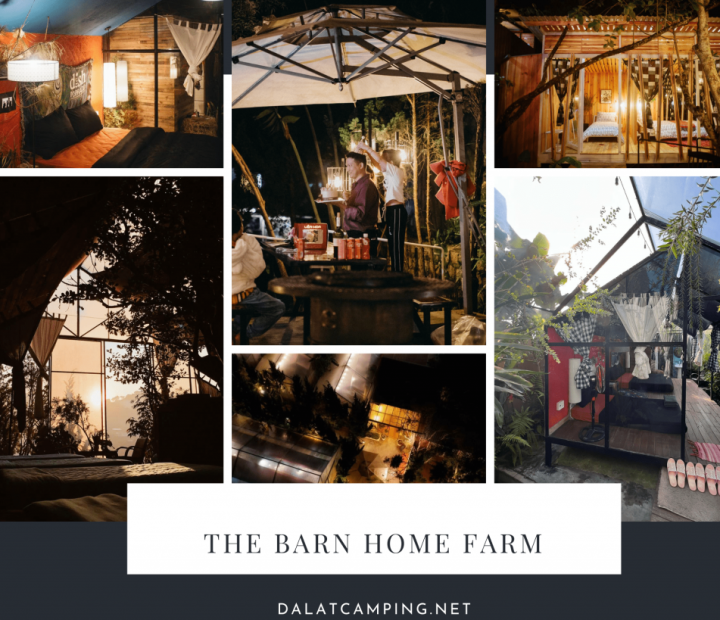 The Barn Home Farm Đà Lạt: Nét Đẹp Gỗ Bắc Âu Giữa Lòng Cao Nguyên