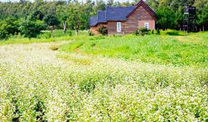Đà Lạt Milk Farm