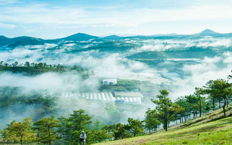 Đồi Đa Phú