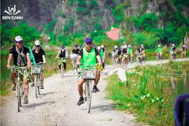 Amazing Race City/Rừng Thông