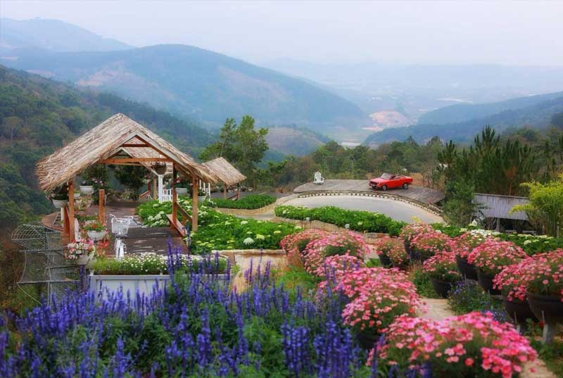 Cao Nguyên Hoa Đà Lạt