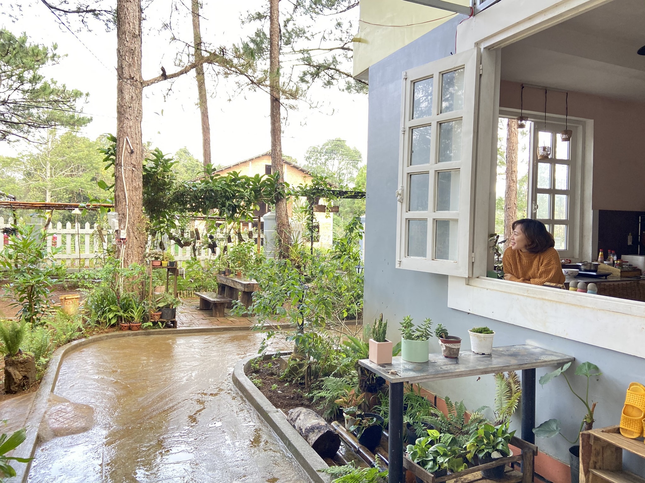 Một Homestay Mang Den