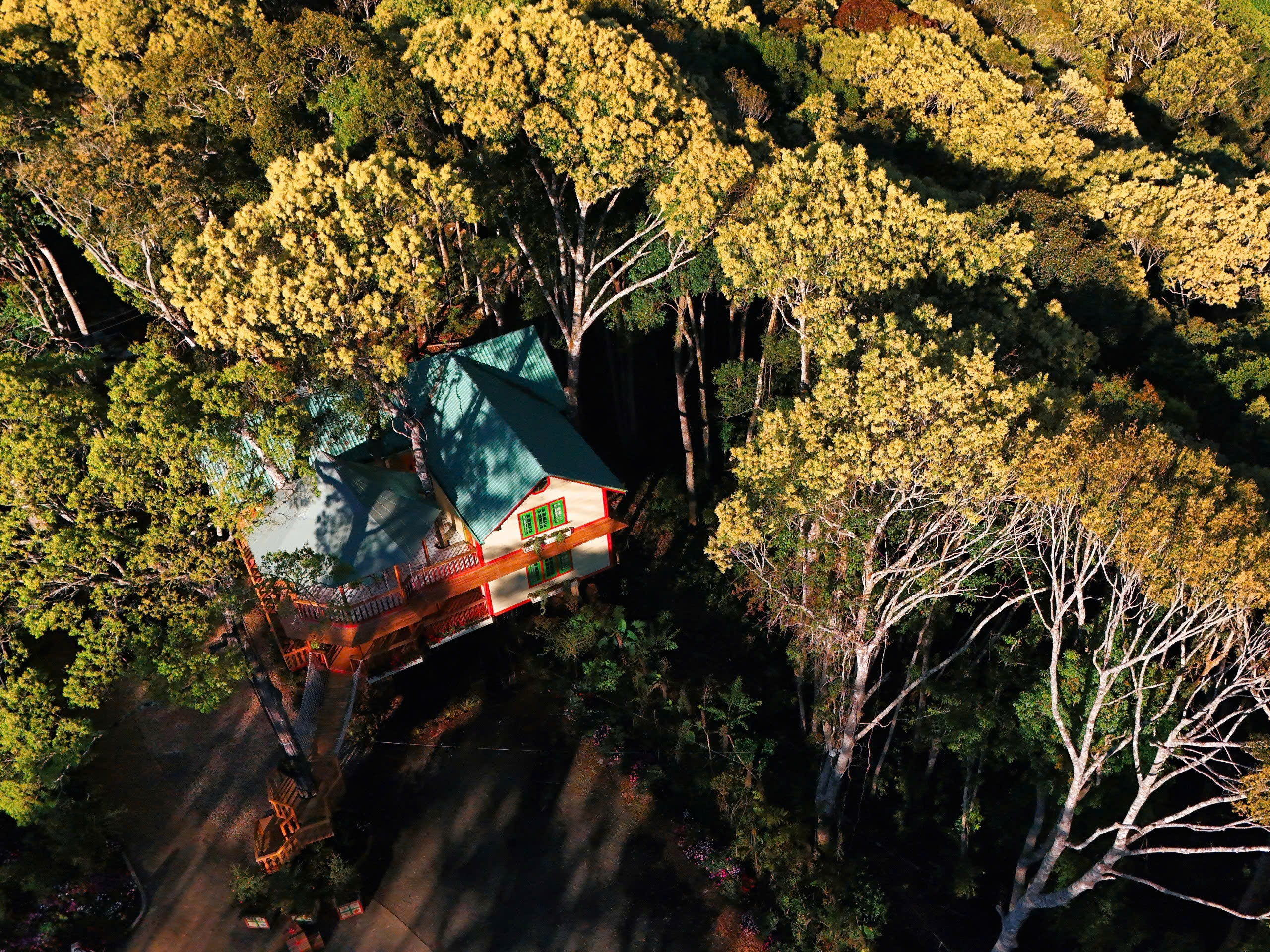 Măng Đen Treehouse Village Resort & Zipline