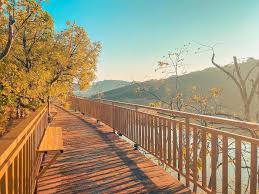 Mộc Trà Farm Đà Lạt