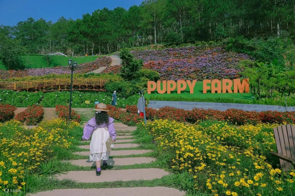 Nông Trại Cún Puppy Farm Đà Lạt