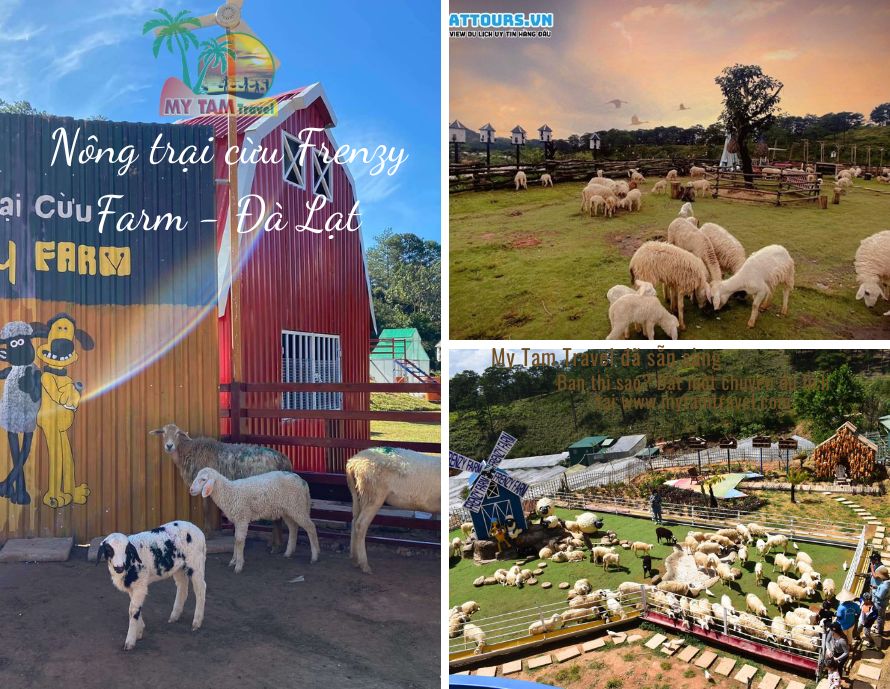 Frenzy Farm Đà Lạt