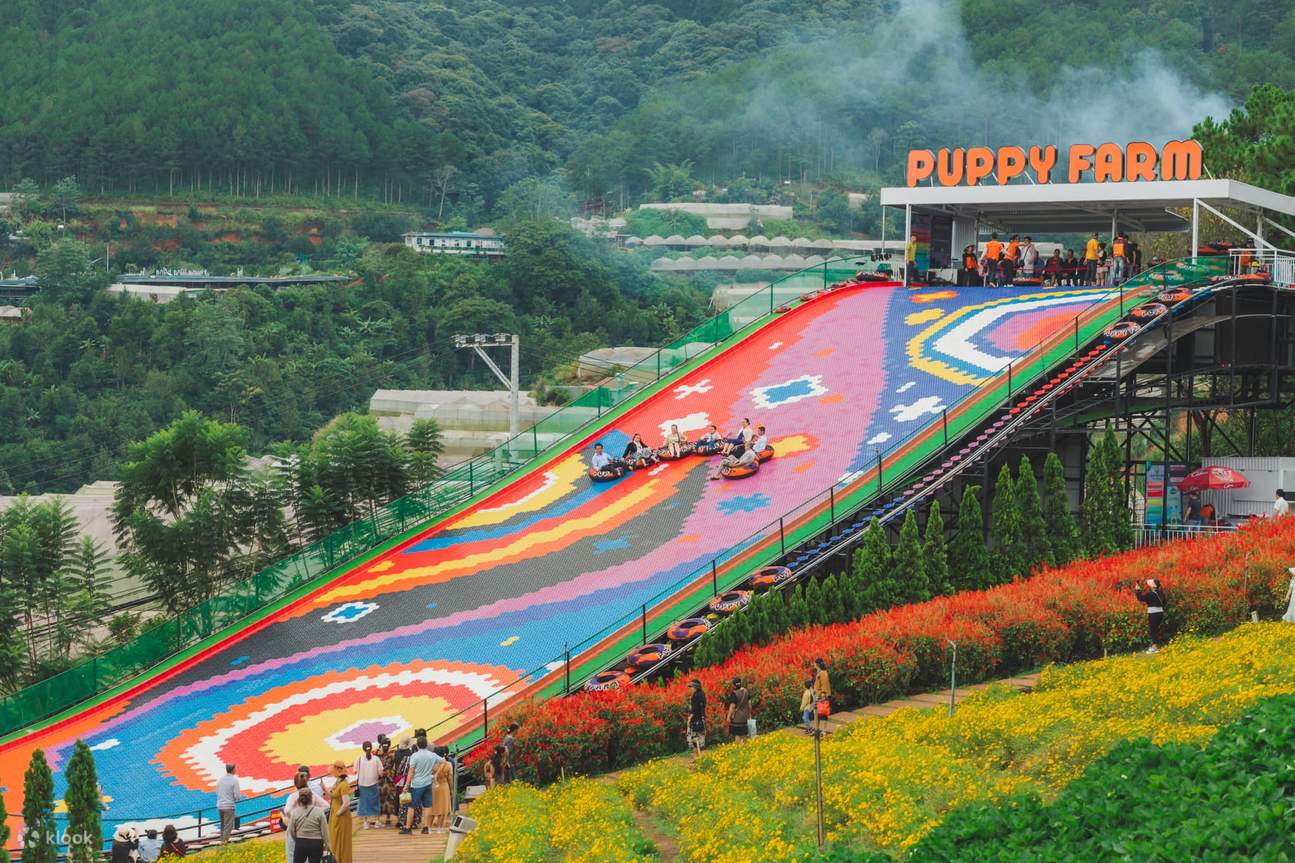 Puppy Farm