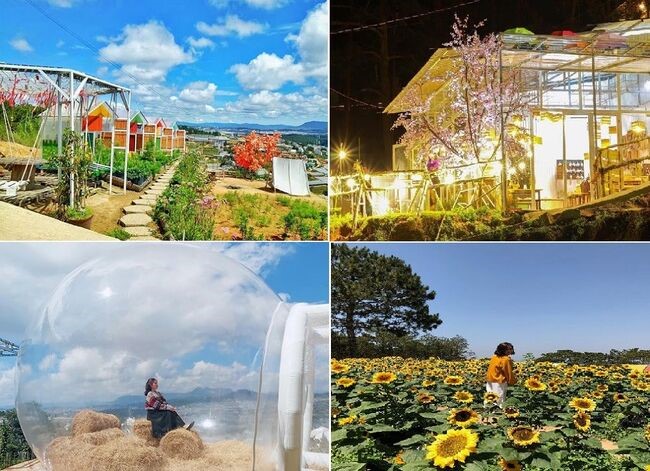 Sunny Farm Đà Lạt