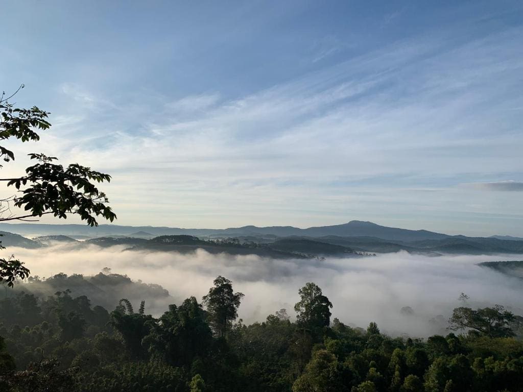 Mây và Mây Homestay Măng Đen