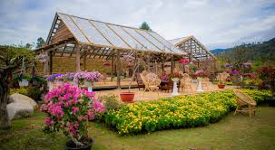 The Florest – Hoa Trong Rừng Đà Lạt