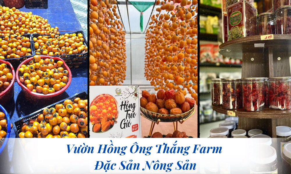 Vườn hồng Ông Thắng Farm