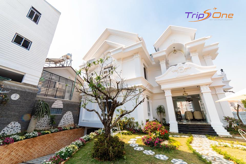 Villa Đà Lạt Trips One 10
