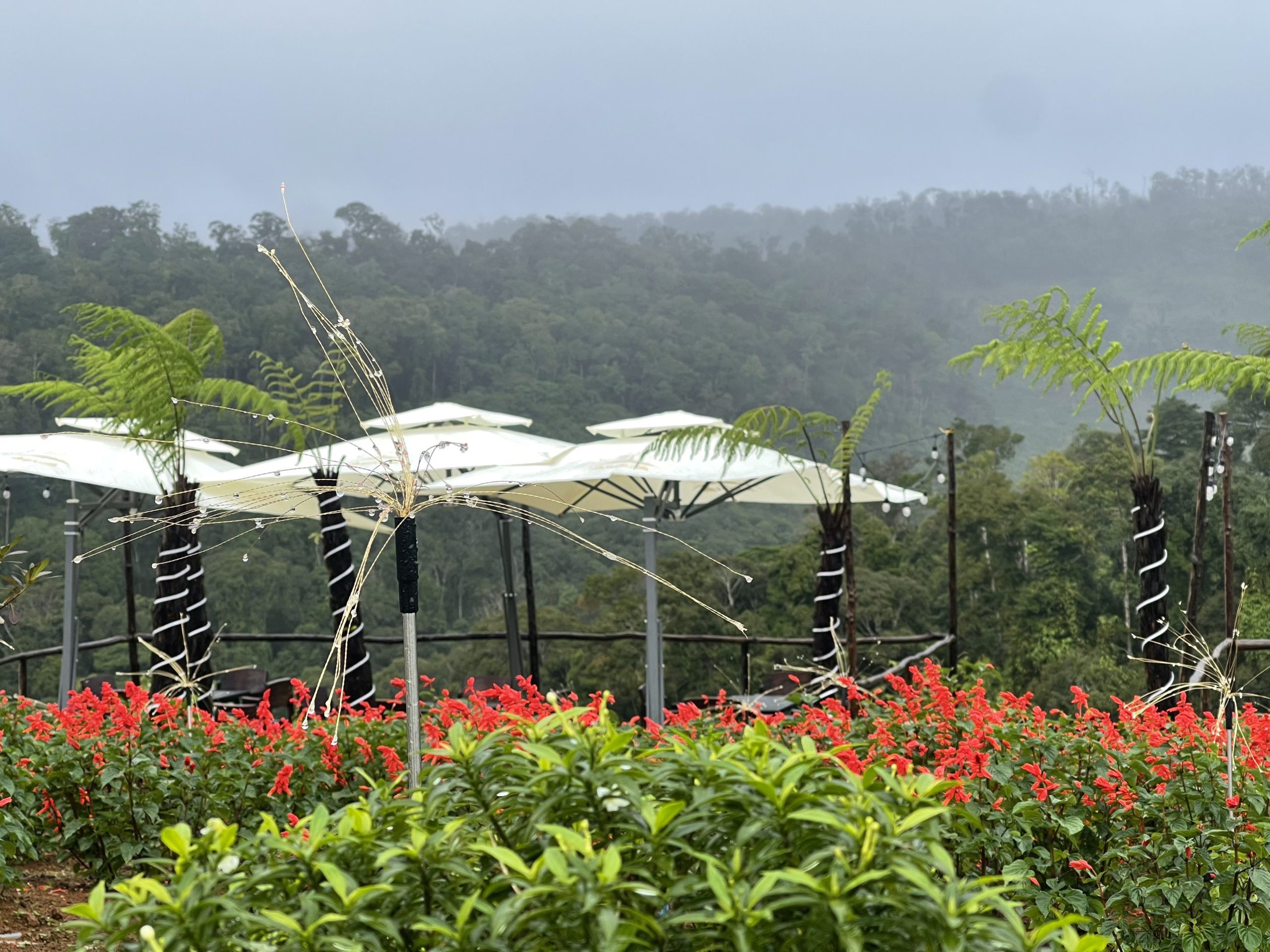 Việt Úc Flower Garden Măng Đen