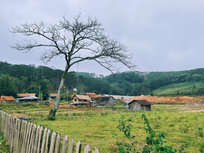 YLang Home Măng Đen