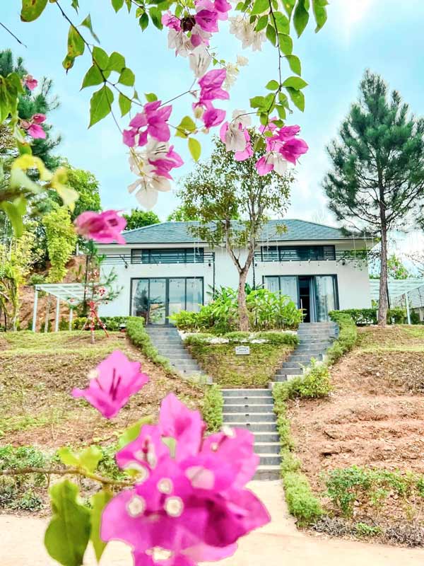 Lộc Vừng Homestay