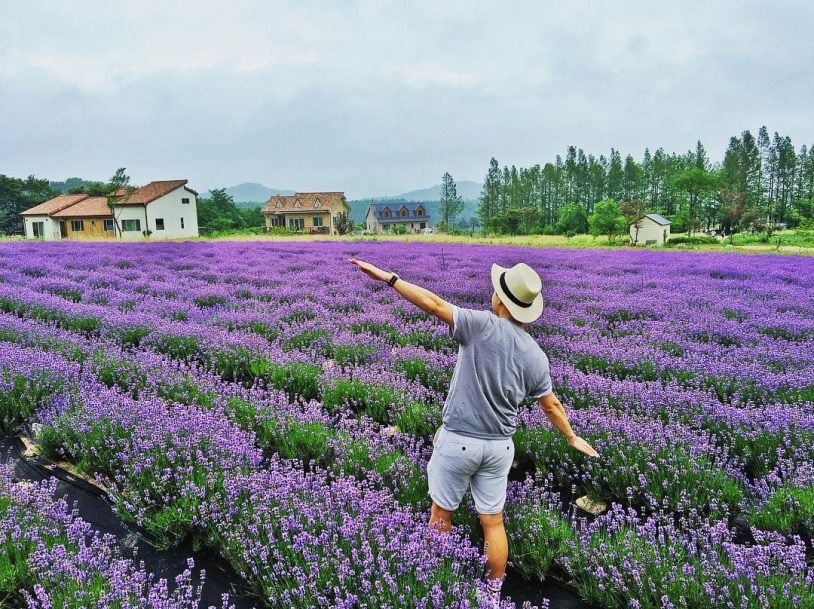 Khu du lịch Lavender