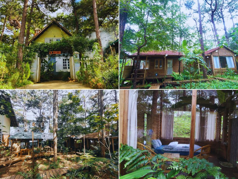 La Maison Homestay Mang Den