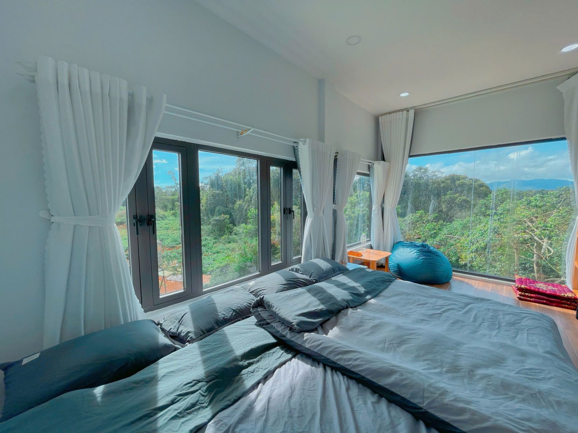 Măng Đen Land: Homestay Cao Nguyên & Café View Rừng Thông