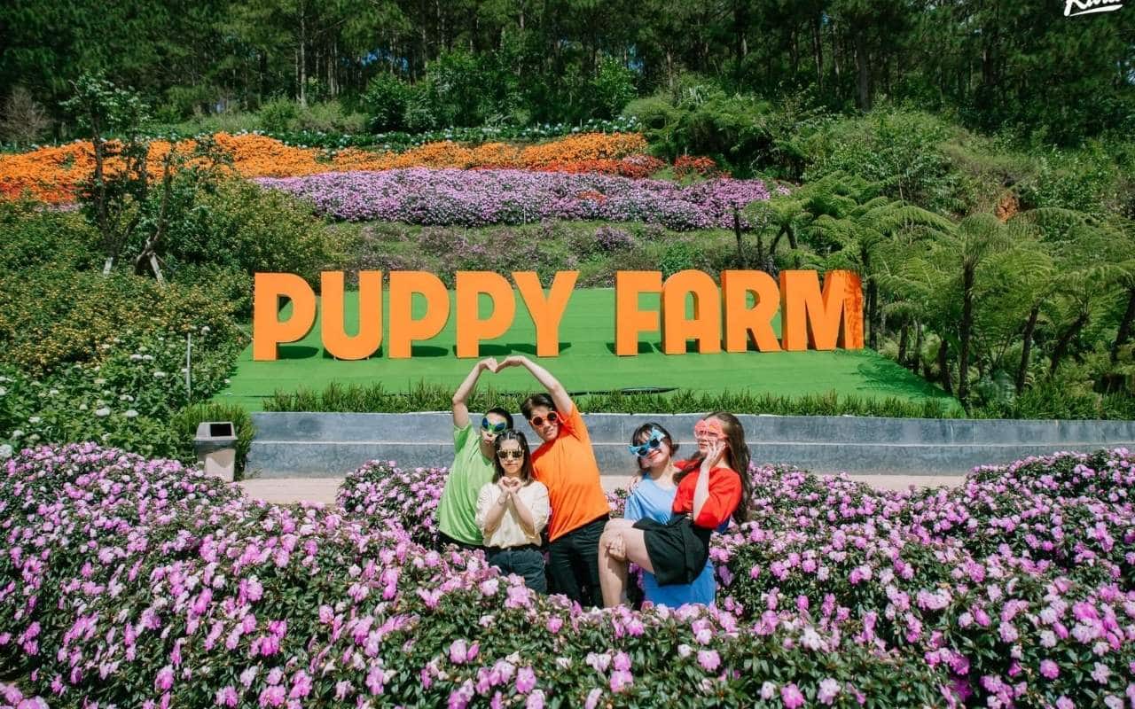 Nông Trại Cún Puppy Farm Đà Lạt