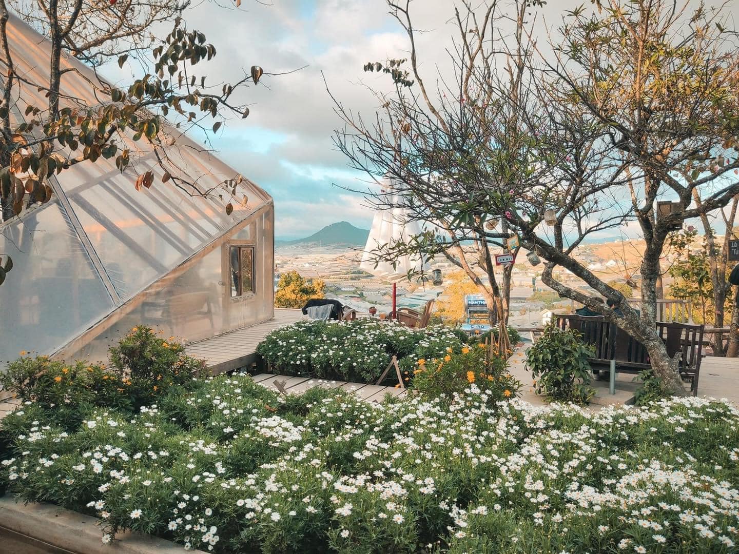  Tiệm Cà Phê Túi Mơ To