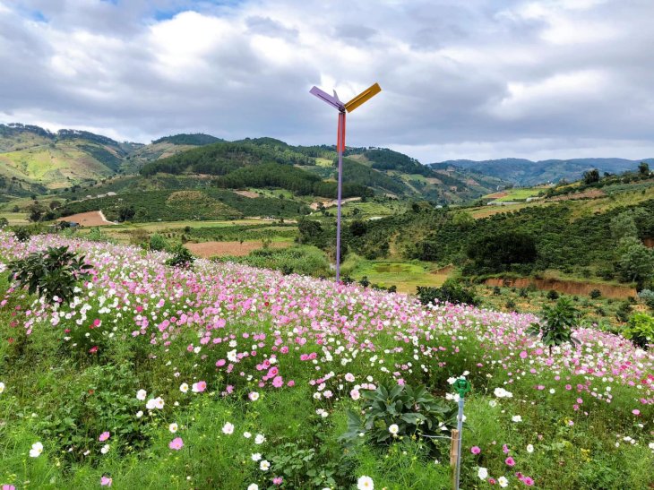 Thung Lũng Hoa Tà Nung Đà Lạt