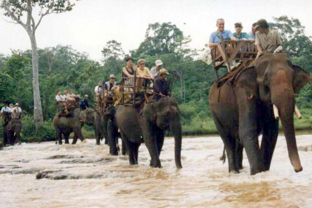 Đó chính là Làng voi Nhơn Hòa