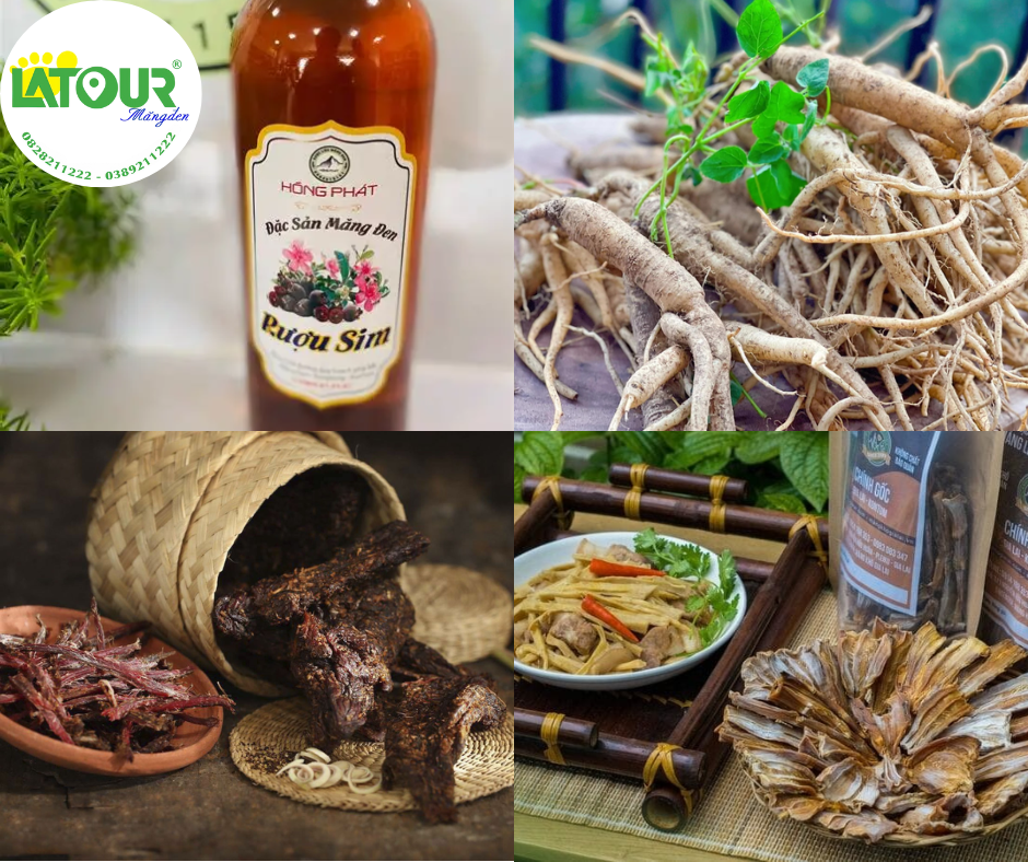 Tour Gia Lai - Măng Đen - Quy Nhơn 5 Ngày 4 Đêm