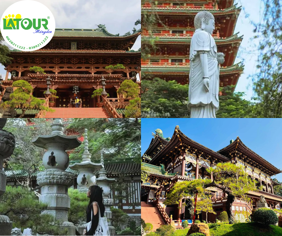 Tour Gia Lai - Măng Đen - Quy Nhơn 5 Ngày 4 Đêm