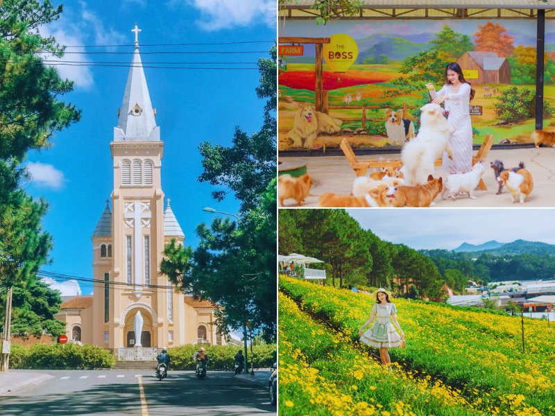 tour du lịch Bình Phước Đà Lạt 3 ngày 2 đêm