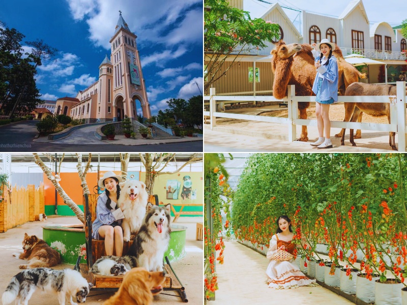 tour Đà Lạt 3 ngày