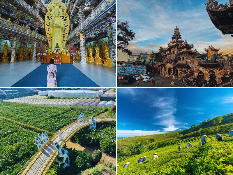 tour Đà Lạt 5 ngày