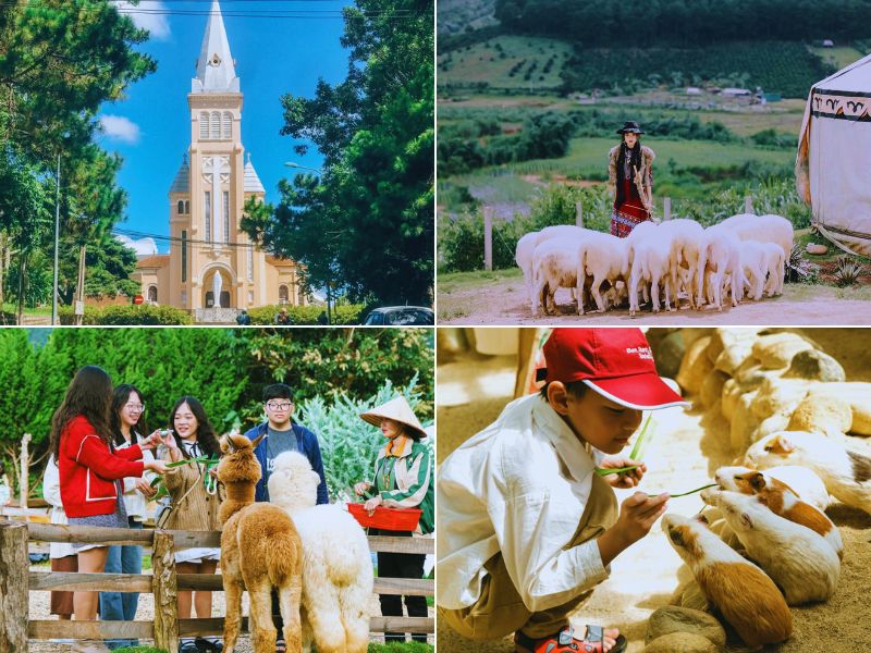 tour Sài Gòn đi đà lạt